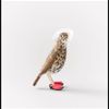 Birdy L.